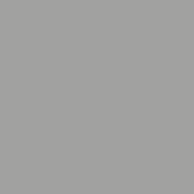 RAL 9006 - Gri - Grey (White Aluminum)